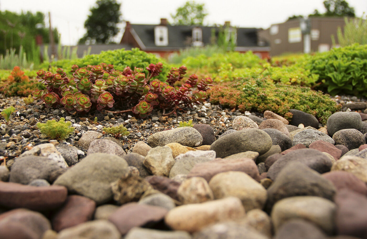 Green roof, PA